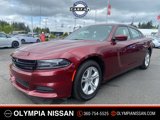 Used 2020 Dodge Charger SXT w/ Leather Interior Group image 5