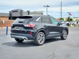 Used 2022 Ford Escape SEL image 4
