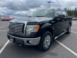 Used 2011 Ford F150 XLT w/ XLT Chrome Pkg image 5