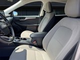 Used 2022 Ford Escape SE image 3