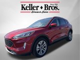 Used 2022 Ford Escape SEL w/ Technology Package image 3