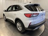 Used 2020 Ford Escape SE image 4