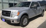Used 2010 Ford F150 XLT image 3