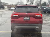 Used 2021 Ford Escape Titanium w/ Titanium Elite Package image 6