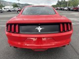 Used 2015 Ford Mustang Coupe image 5