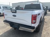 Used 2015 Ford F150 XLT w/ Equipment Group 301A Mid image 4