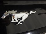 Used 2019 Ford Mustang Coupe image 5