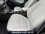 Used 2023 Hyundai Kona SEL w/ Convenience Package image 4