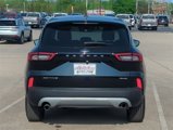 Used 2024 Ford Escape Active image 4