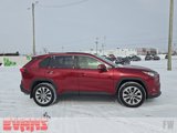 Used 2019 Toyota RAV4 XLE Premium image 2