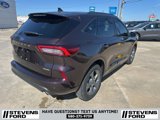 Used 2023 Ford Escape ST-Line w/ Tech Pack #1 image 4