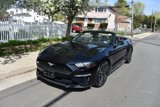 Used 2022 Ford Mustang Premium image 2