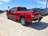 Used 2019 Ford F150 XLT w/ Equipment Group 302A Luxury image 4