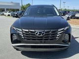 Used 2022 Hyundai Tucson SEL w/ Cargo Package image 2