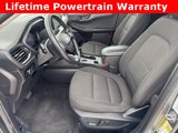 Used 2024 Ford Escape Active w/ Tech Pack #1 image 2