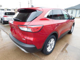 Used 2020 Ford Escape SE image 5