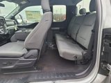 New 2025 Ford F150 XLT w/ Equipment Group 301A Standard image 4