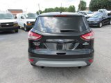 Used 2014 Ford Escape SE image 5