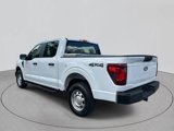Used 2024 Ford F150 XL image 4
