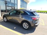 Used 2020 Ford Escape SE image 2
