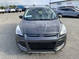 Used 2015 Ford Escape Titanium image 3