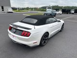 Used 2017 Ford Mustang GT Premium w/ Equipment Group 401A image 5