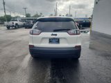 Used 2019 Jeep Cherokee Latitude Plus image 4
