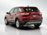 Used 2020 Ford Escape SE image 3