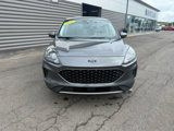 Used 2021 Ford Escape SE image 3