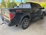 Used 2014 Ford F150 FX4 w/ Equipment Group 402A Luxury image 3