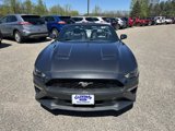Used 2019 Ford Mustang Premium w/ Equipment Group 201A image 2