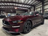 Used 2018 Ford Mustang Premium w/ Equipment Group 201A image 4