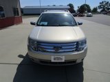 Used 2009 Ford Taurus X Limited image 4