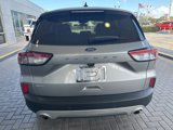 Used 2022 Ford Escape SEL w/ Technology Package image 5