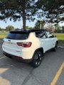 Used 2018 Jeep Compass Trailhawk w/ Safe & Security Group image 4
