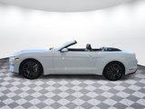 Used 2021 Ford Mustang Premium image 6