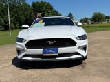 Certified 2023 Ford Mustang Premium image 2