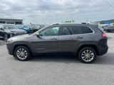Used 2019 Jeep Cherokee Latitude Plus image 4
