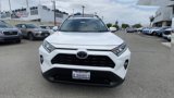 Used 2019 Toyota RAV4 XLE image 3