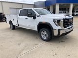 New 2025 GMC Sierra 2500 Pro w/ Convenience Package image 3