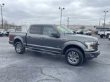Used 2016 Ford F150 XLT w/ Equipment Group 302A Luxury image 2