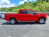 Used 2020 Ford F150 XLT image 6