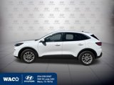 Used 2020 Ford Escape SE image 3