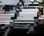 Used 2024 Chevrolet Silverado 1500 W/T w/ WT Fleet Convenience Package image 5