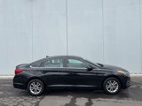 Used 2016 Hyundai Sonata SE w/ Cargo Package image 2