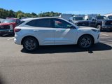 New 2024 Ford Escape ST-Line w/ Equipment Group 301A image 2