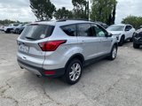 Used 2019 Ford Escape SEL image 3