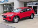 Used 2024 Ford Escape Active w/ Tech Pack #1 image 3