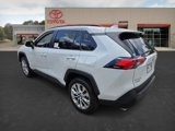 Certified 2024 Toyota RAV4 XLE Premium image 6