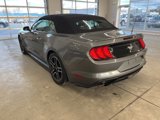 Used 2022 Ford Mustang Premium image 6